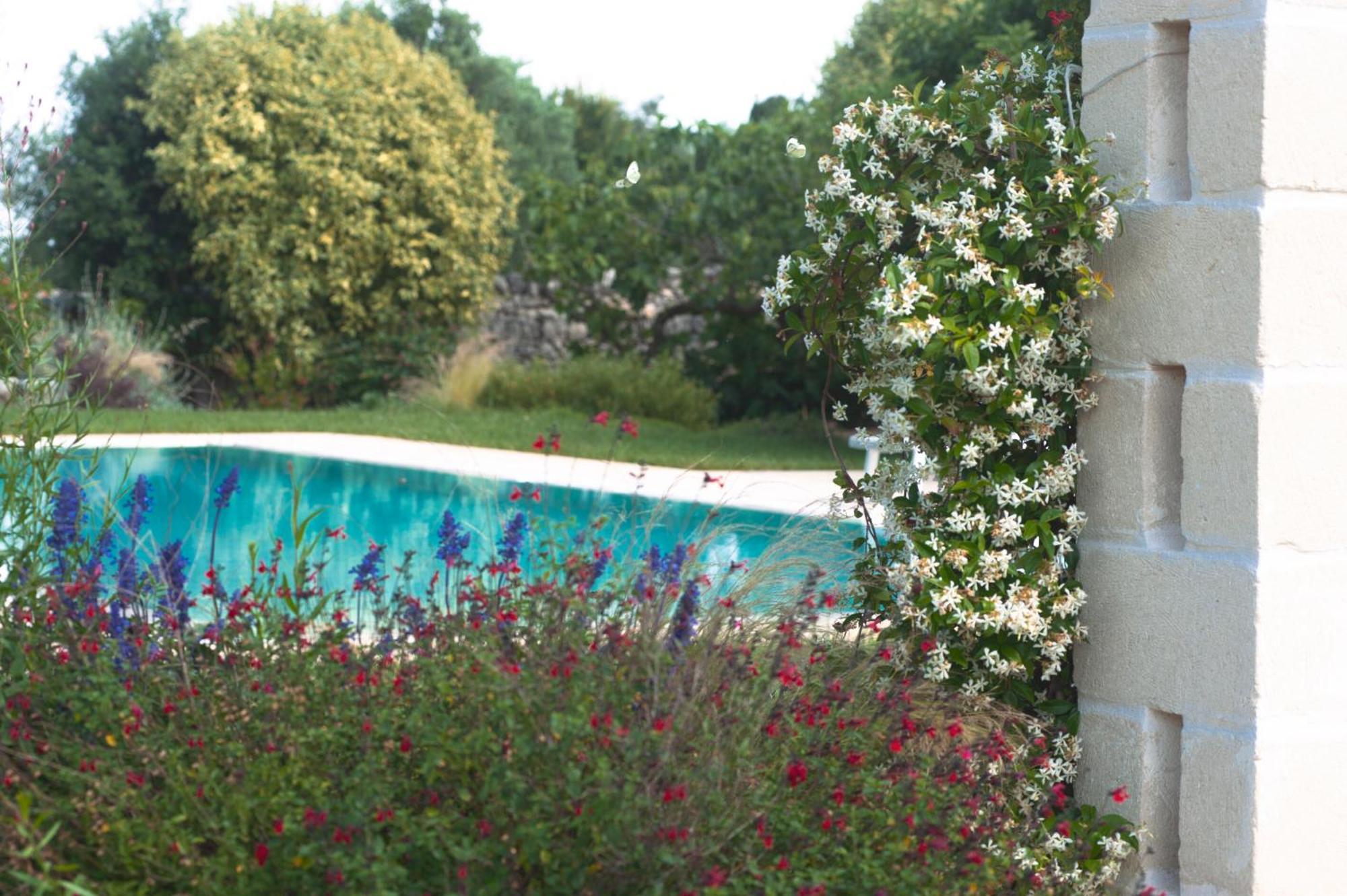 Agriturismo Masseria Calongo Чистернино Екстериор снимка