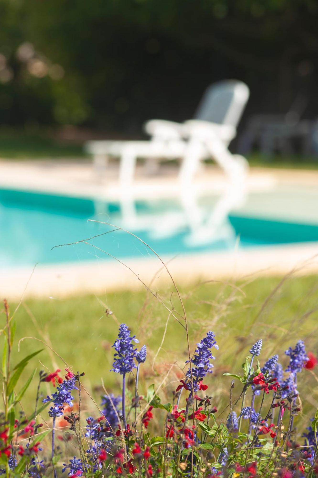 Agriturismo Masseria Calongo Чистернино Екстериор снимка