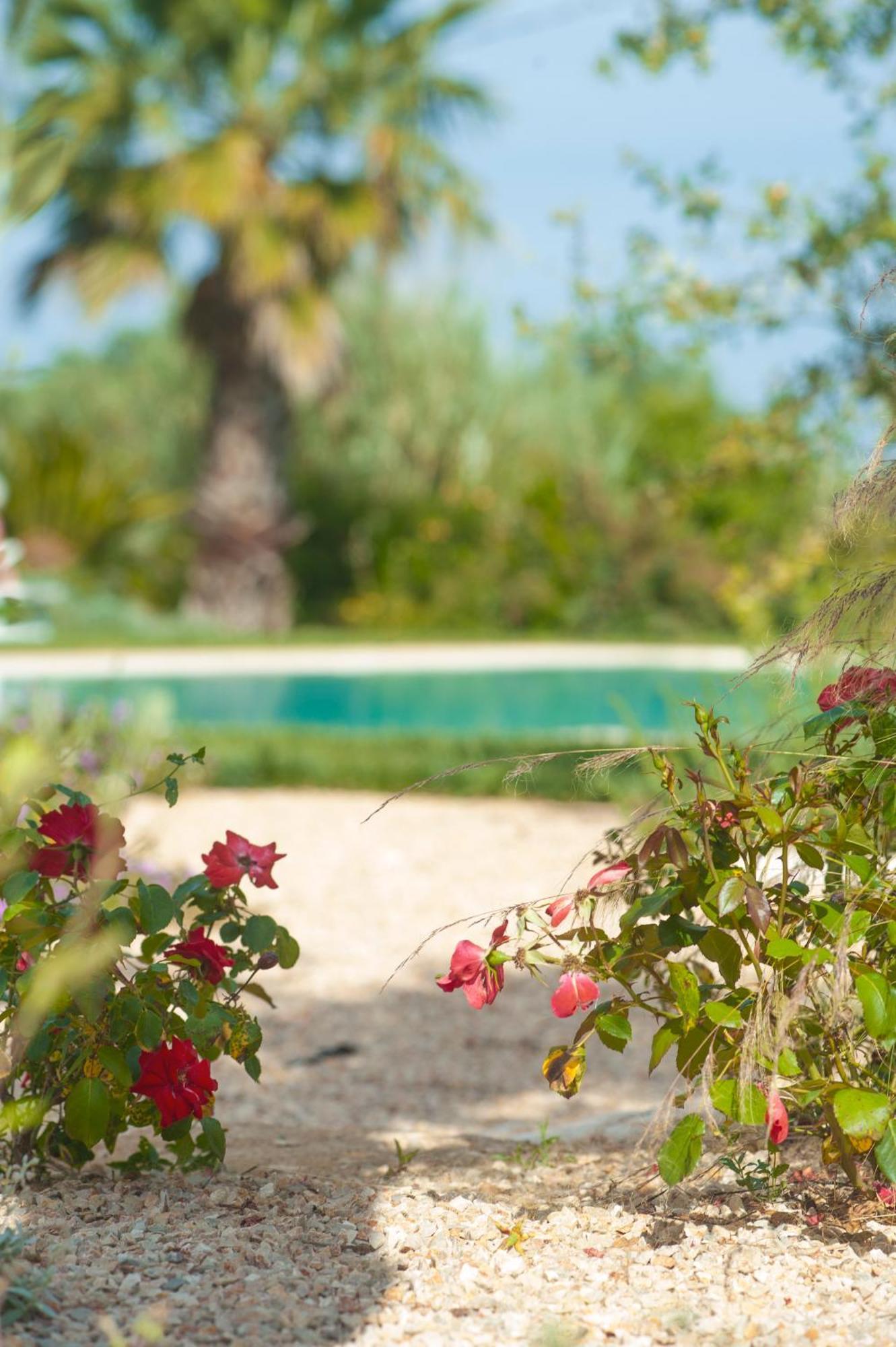 Agriturismo Masseria Calongo Чистернино Екстериор снимка