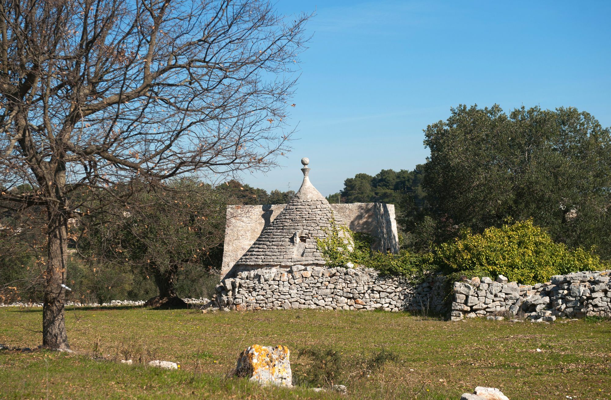 Agriturismo Masseria Calongo Чистернино Екстериор снимка
